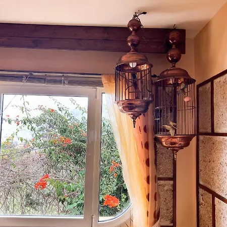 公寓 With Huge Deck Nestled In Marvelous Gardens - Nidos