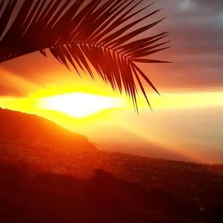 With Huge Deck Nestled In Marvelous Gardens - Nidos アパート