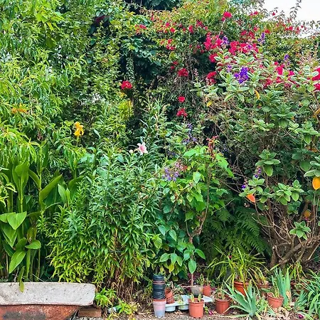 公寓 With Huge Deck Nestled In Marvelous Gardens - Nidos 拉奥罗塔瓦