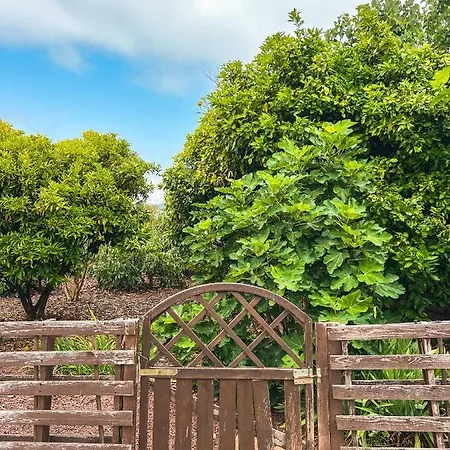 With Huge Deck Nestled In Marvelous Gardens - Nidos 公寓 拉奥罗塔瓦