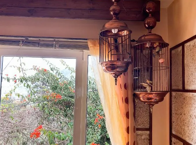 דירה With Huge Deck Nestled In Marvelous Gardens - Nidos